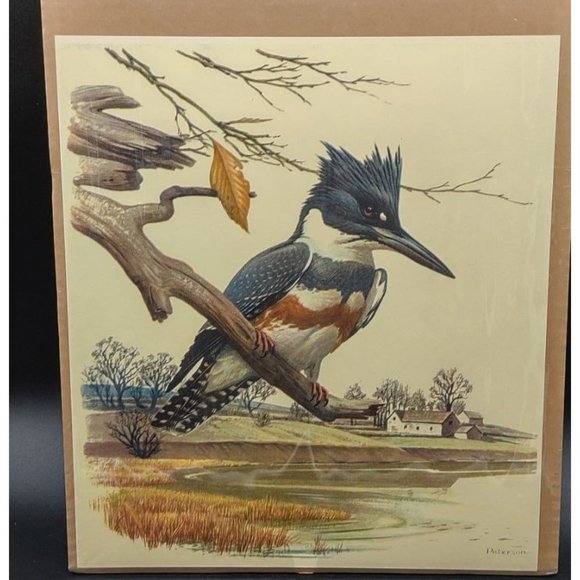 Peterson Print Kingfisher 11 Wide by 12.5 High Inches - Picture 1 of 8